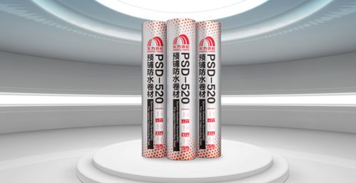 東方雨虹 在擔當實干中奮力書寫高質量發展新篇章