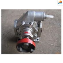 新聞 廠家供應(yīng)柴油油泵 12v電動自吸抽油泵 汽車機(jī)油潤滑齒輪柴油油泵招商